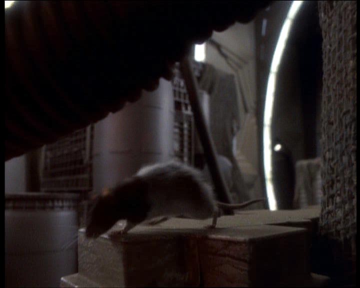 Star Trek Bilder - Deep Space Nine - Die Kohn-Ma