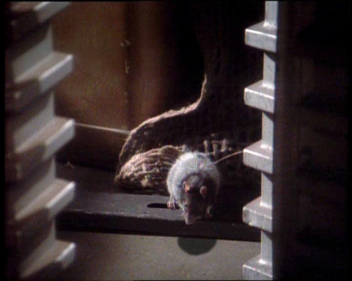 Star Trek Bilder - Deep Space Nine - Die Kohn-Ma