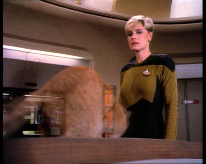 Star Trek Bilder - The Next Generation - Der Reisende