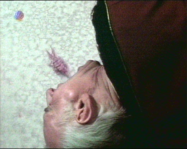Star Trek Bilder - 