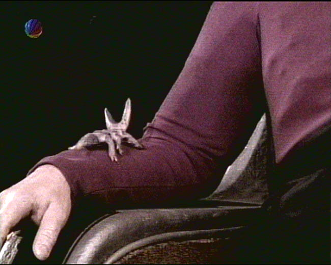 Star Trek Bilder - 