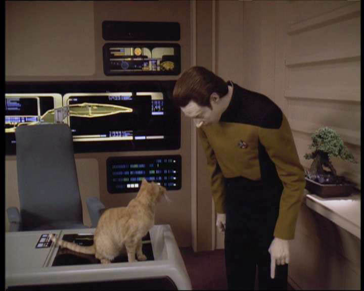 Star Trek Bilder - The Next Generation - Die Raumkatastrophe