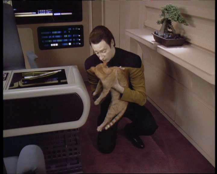 Star Trek Bilder - The Next Generation - Die Raumkatastrophe