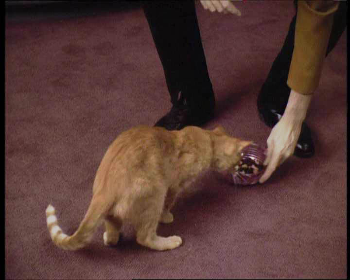 Star Trek Bilder - The Next Generation - Die Raumkatastrophe