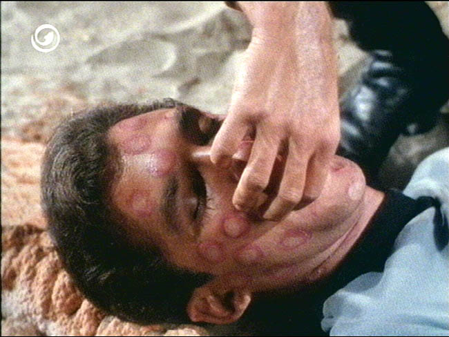 Star Trek Bilder - The Original Series - Raumschiff Enterprise - Das letzte seiner Art