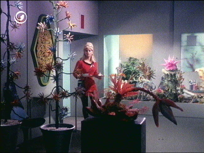 Star Trek Bilder - The Original Series - Raumschiff Enterprise - Das letzte seiner Art