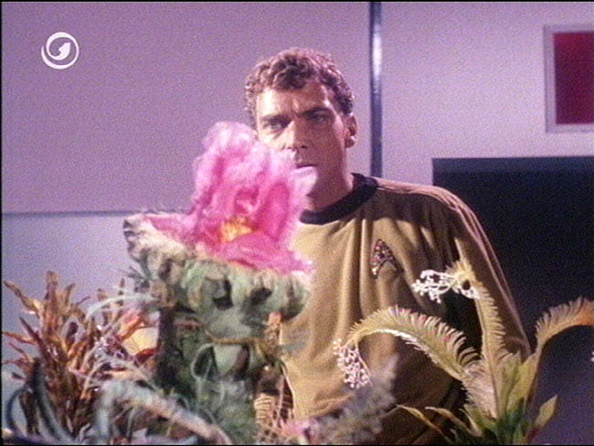 Star Trek Bilder - The Original Series - Raumschiff Enterprise - Das letzte seiner Art