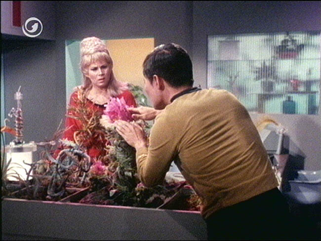 Star Trek Bilder - The Original Series - Raumschiff Enterprise - Das letzte seiner Art
