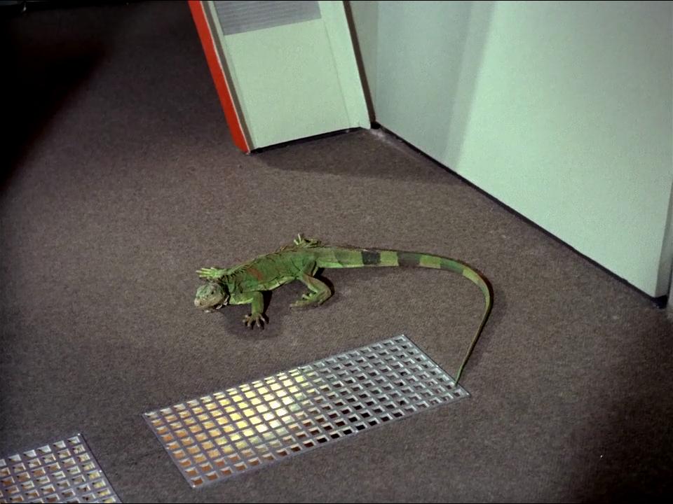 Star Trek Bilder - The Original Series - Raumschiff Enterprise - Der Fall Charlie - remastered