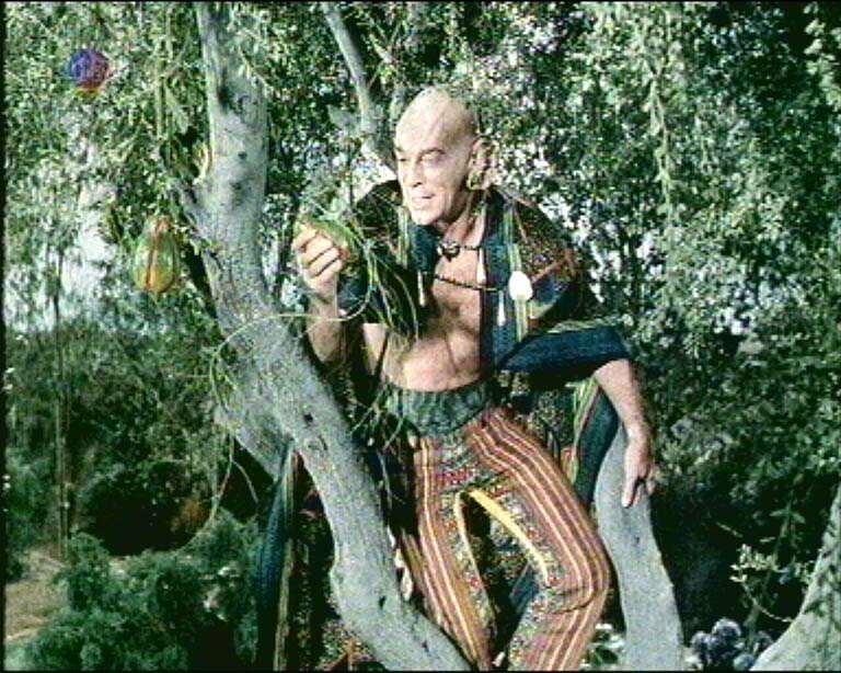 Star Trek Bilder - The Original Series - Raumschiff Enterprise - Die Reise nach Eden