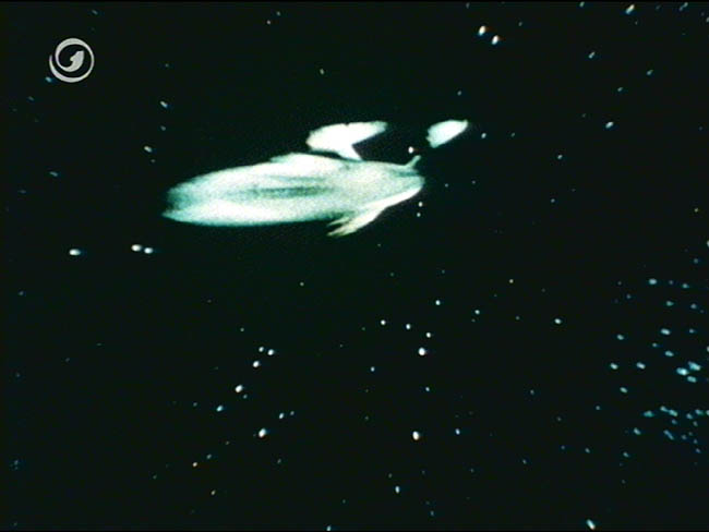 Star Trek Bilder - The Original Series - Raumschiff Enterprise - Titelsequenz (dt.)