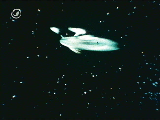 Star Trek Bilder - The Original Series - Raumschiff Enterprise - Titelsequenz (dt.)