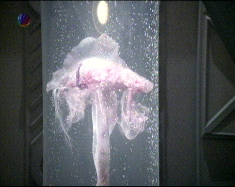 Star Trek Bilder - Voyager - Die Denkfabrik