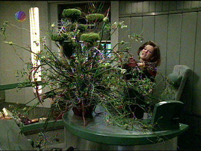 Star Trek Bilder - Voyager - Überlebensinstinkt
