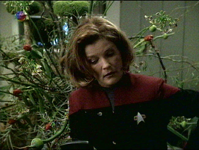 Star Trek Bilder - Voyager - Überlebensinstinkt