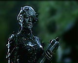 Star Trek Wallpaper - Voyager - Überlebensinstinkt
