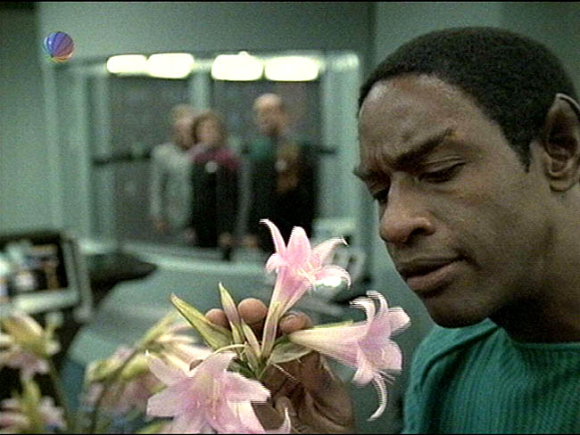 Star Trek Bilder - Voyager - Rätsel