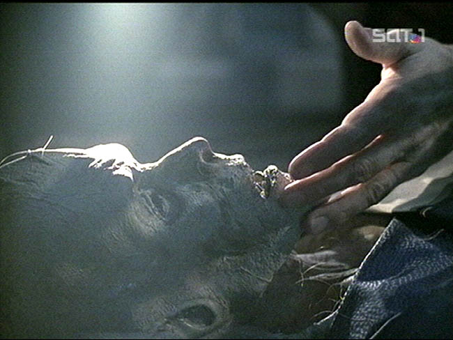 Star Trek Bilder - Voyager - Die Zähne des Drachen