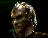Star Trek Wallpaper - Voyager - Die Zähne des Drachen