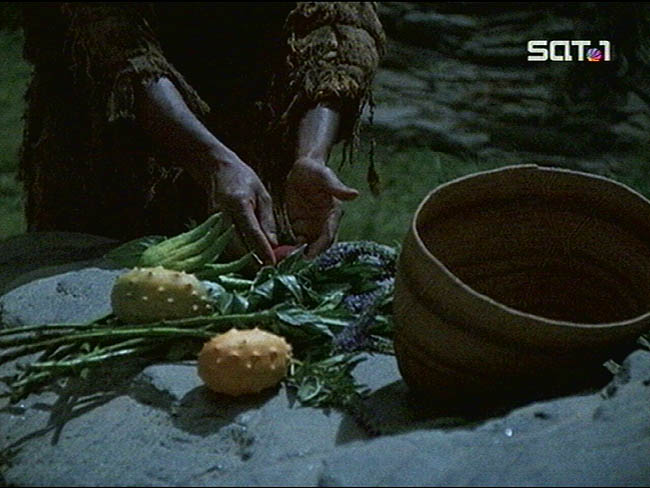 Star Trek Bilder - Voyager - Es geschah in einem Augenblick
