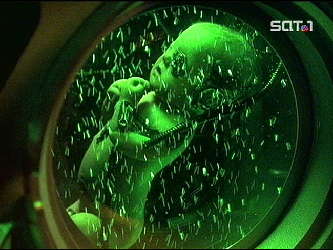 Star Trek Bilder - Voyager - Kollektiv