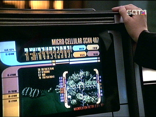 Star Trek Bilder - Voyager - Kollektiv