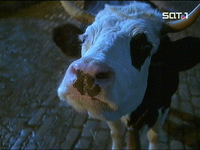 Star Trek Bilder - Voyager - Das Geistervolk