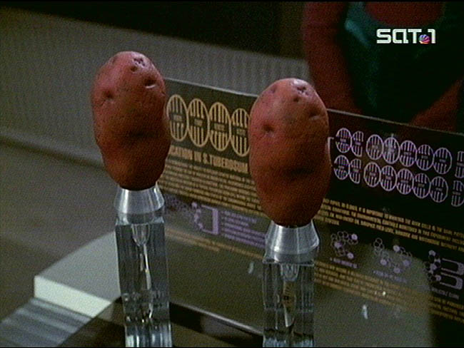 Star Trek Bilder - Voyager - Icheb