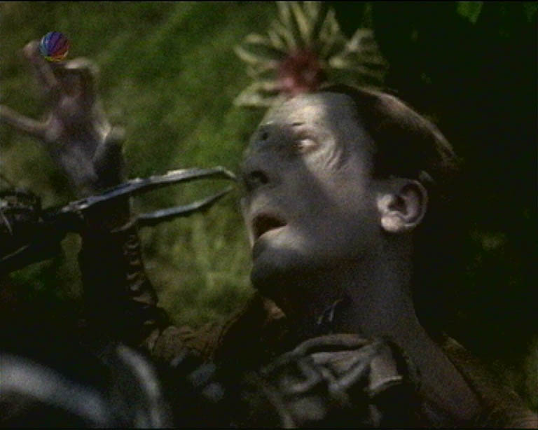 Star Trek Bilder - Voyager - Unimatrix Zero, Teil I
