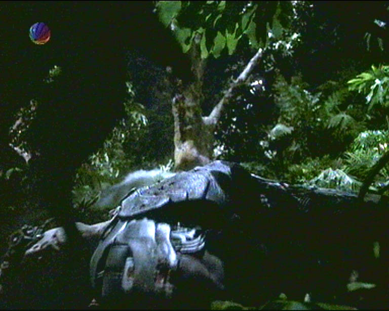 Star Trek Bilder - Voyager - Unimatrix Zero, Teil II