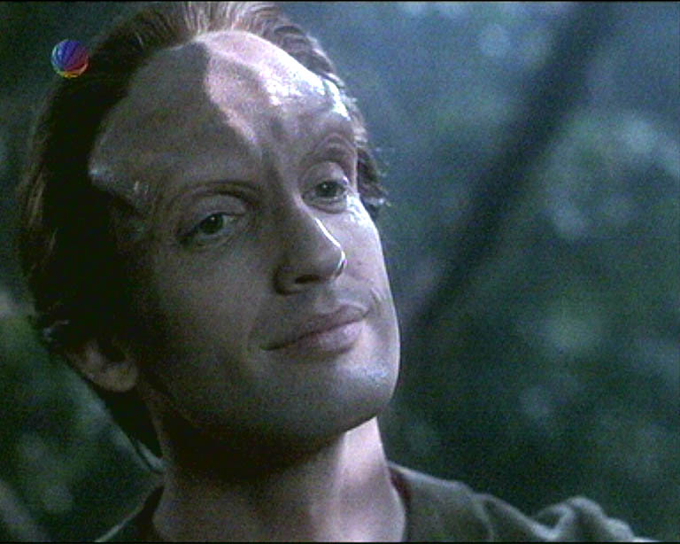 Star Trek Bilder - Voyager - Unimatrix Zero, Teil II