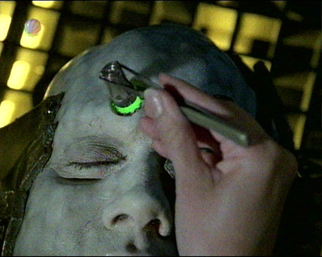 Star Trek Bilder - Voyager - Unvollkommenheit