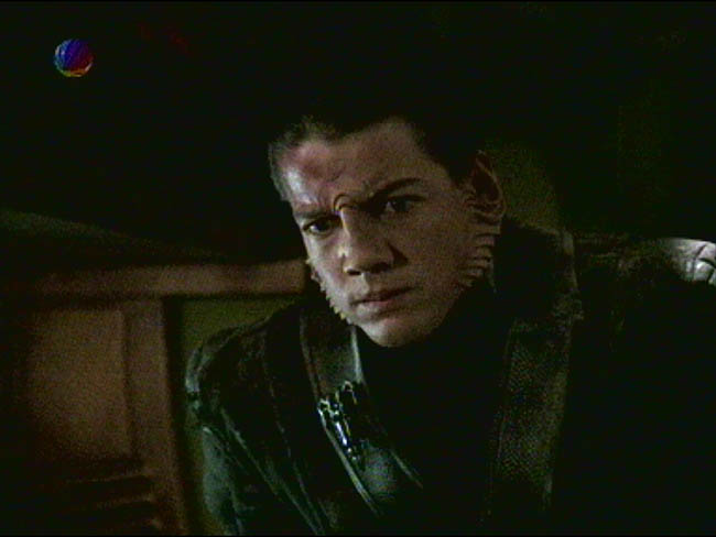 Star Trek Bilder - Voyager - Nightingale
