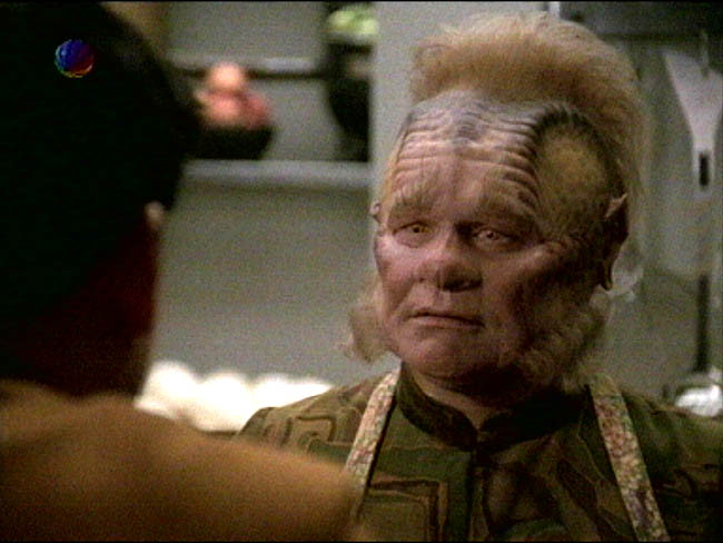 Star Trek Bilder - Voyager - Nightingale