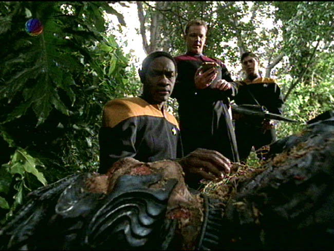Star Trek Bilder - Voyager - Fleisch und Blut I