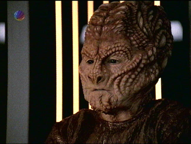 Star Trek Bilder - Voyager - Fleisch und Blut I