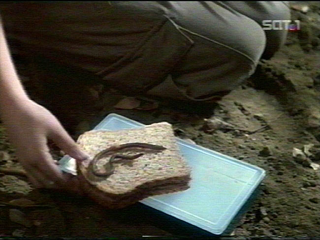 Star Trek Bilder - Voyager - Abstammung