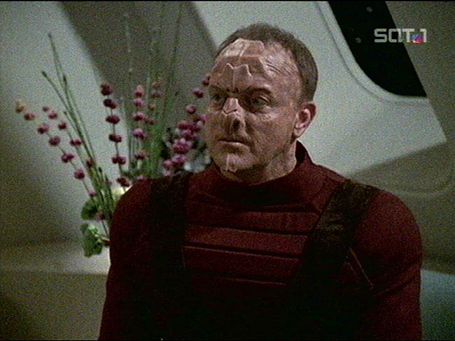 Star Trek Bilder - Voyager - Reue