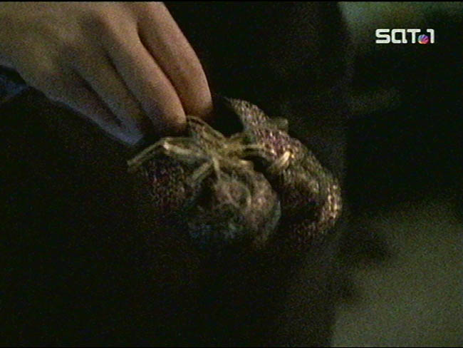 Star Trek Bilder - Voyager - Menschliche Fehler